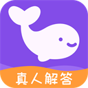 准准app塔罗牌下载